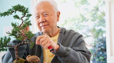Yaponiyada yaşı 100-dən yuxarı olanların sayı 100 mini keçdi &ndash; Tarixi rekord