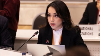 Nəzrin Əliyeva: &ldquo;İkin düşmüş şəxslərin taleyinin naməlum qalması ağır humanitar faciədir&rdquo; &ndash; VİDEO