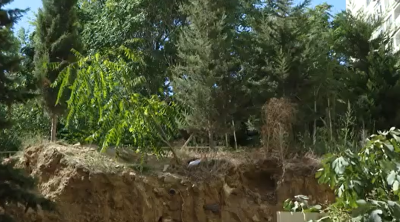 Yaşıllıqlara 32 min manatdan çox ZİYAN DƏYDİ