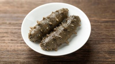 Qocalmanı ləngitməyin çarəsi bu imiş &ndash; Dəniz xiyarı!