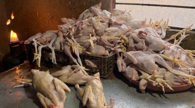 Lənkəranda toyuq kəsimi sexində nöqsanlar aşkarlandı &ndash; FOTO