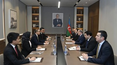 Azərbaycanla İndoneziya arasında siyasi məshələtləşmələr keçirildi &ndash; FOTO