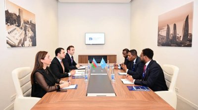 Azərbaycan Somali ilə mədəniyyət sahəsində əməkdaşlığı genişləndirir - FOTO