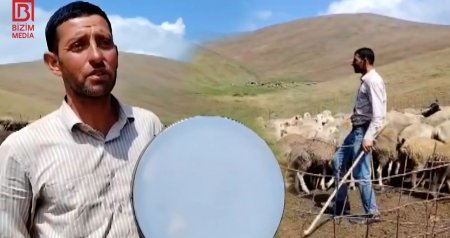 Kəlbəcər yaylaqlarından gələn ecazkar SƏS – Qoyunlara muğam oxuyan Fərailin HEKAYƏSİ – VİDEO