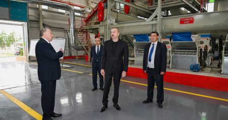 İlham Əliyev Sabirabadda pambıq emalı zavodunda – FOTO