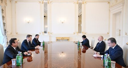 İlham Əliyev Rumıniya Parlamenti Senatının sədrini QƏBUL ETDİ - FOTO