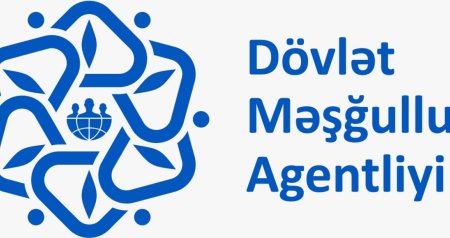 Dövlət Məşğulluq Agentliyi müəllif hüquqlarını pozub - İDDİA