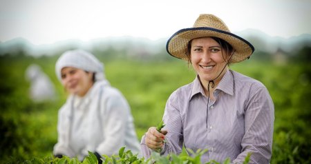Əkin sahələrində rəqəmsal nəzarət - &ldquo;Made in Azerbaijan&rdquo; brendi əl-əl axtarılacaq