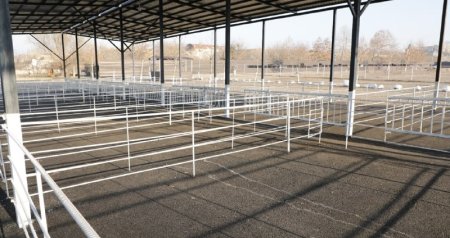 Daha bir &ldquo;mal bazarı&rdquo;nın fəaliyyəti bərpa edilir &ndash; VİDEO