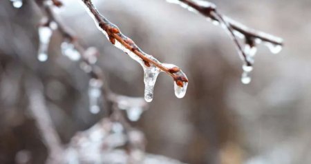 Külək güclənəcək, şaxta olacaq &ndash; SABAHIN HAVASI