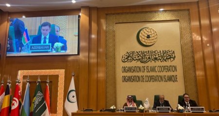 Somali ilə bağlı fövqəladə iclas: Azərbaycanı bu diplomat təmsil etdi - FOTO