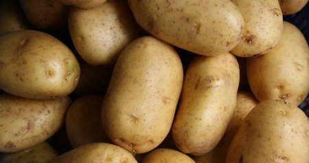 İran və Pakistandan gətirilən kartoflarla bağlı XƏBƏRDARLIQ