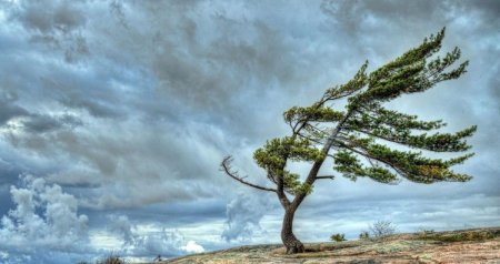 Ölkə ərazisində külək güclənəcək - XƏBƏRDARLIQ