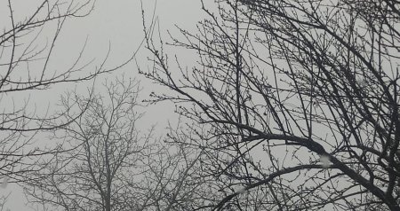 Bu bölgəmizə də qar yağır - FOTO/VİDEO