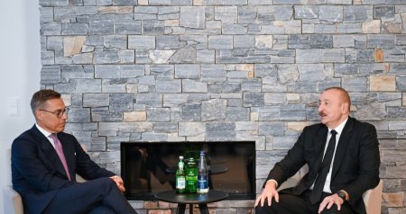 İlham Əliyev Davosda Finlandiya Prezidenti ilə görüşdü &ndash; FOTO