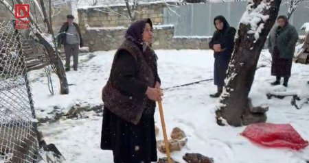 Şəkidə onlarla ailə TƏHLÜKƏ qarşısında - Ev quşlarının qənimi tapılacaqmı? &ndash; FOTO/VİDEO