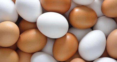 Doğru bildiyimiz YANLIŞ &ndash; Qabığı hansı rəngdə olan yumurta daha faydalıdır?