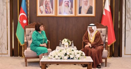 Sahibə Qafarova Bəhreyn Krallığı Şura Məclisinin sədri ilə görüşdü - FOTO