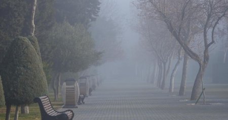 Yanvarın son gününün HAVASI: Duman, 18 dərəcə isti...