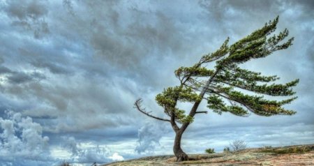 Küləkli hava şəraiti ilə bağlı sarı xəbərdarlıq VERİLDİ