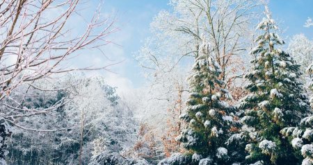 SABAHIN HAVASI - Bəzi yerlərdə qar yağacaq