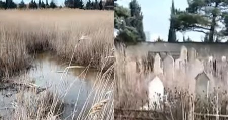 Zabrat qəbiristanlığı baxımsız halda: Sakinlər yaxınlarını ziyarət edə bilmirlər - VİDEO