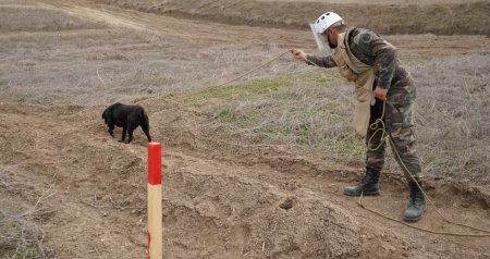 Azad olunan ərazilər minalardan belə təmizlənir &ndash; FOTO