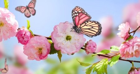 Azərbaycana yaz fəsli BU TARİXDƏ daxil olacaq &ndash; Saat AÇIQLANDI