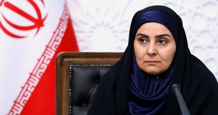 İranlı nazir gecə ikən Bakıya gəldi &ndash; FOTO