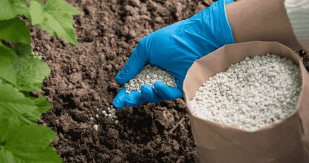 Qlobal gübrə bazarında BÖHRAN - Azərbaycana necə təsir edəcək?