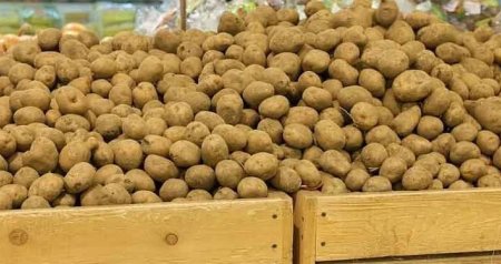 &ldquo;Gədəbəy kartofu&rdquo; adı ilə satılsa da, bu ölkələrdən gətirilir... &ndash; DETALLAR