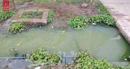 Eyni arxda ölən iki qardaşla bağlı rəsmi qurumdan qalmaqallı AÇIQLAMA &ndash; &ldquo;1 yaş 4 aylıq uşaq orda nə gəzirdi?&rdquo; &ndash; VİDEO