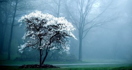 Sabah güclü külək əsəcək &ndash; XƏBƏRDARLIQ