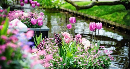 Azərbaycana yaz gəldi