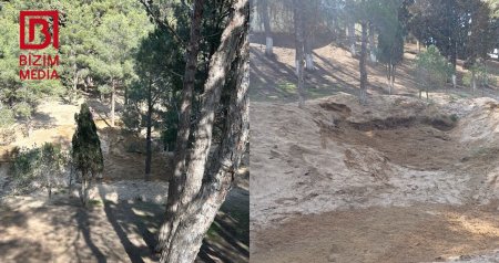 Bizim.Media yazdı &ndash; Sumqayıtda yaşıllıq əraziyə müdaxilənin qarşısı alındı &ndash; FOTO