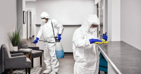 Evləri, ofisləri həşəratlar basıb &ndash; Dezinfeksiya işlərini kim APARMALIDIR?