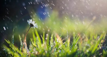 Leysan olacaq, dolu düşəcək - BU TARİXLƏRDƏ