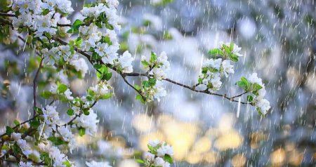 Yağış yağacaq, güclü külək əsəcək &ndash; SABAHIN HAVASI