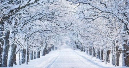 FAKTİKİ HAVA: Bəzi rayonlara yağış, dağlıq ərazilərə qar yağır