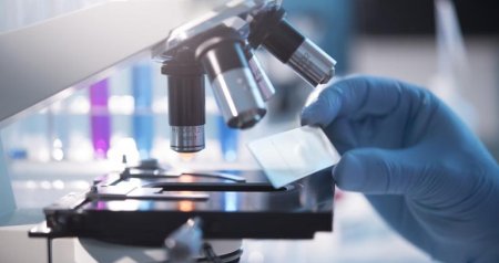 &ldquo;Uşaq bilmir ki, atası kimdir&rdquo; &ndash; Süni mayalanma ilə bağlı QORXUNC XƏBƏRDARLIQ