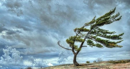 Küləkli hava ilə bağlı XƏBƏRDARLIQ