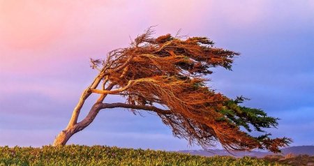 Küləkli hava ilə bağlı sarı və narıncı XƏBƏRDARLIQ