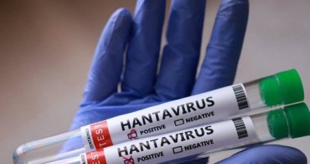 Dünyanı qorxuya salan hantavirus bu şəkildə YAYILIR &ndash; Daha bir XƏBƏRDARLIQ