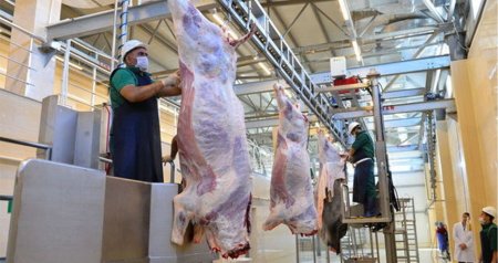 Qurban bayramı günlərində 134 ünvanda satış və kəsim xidmətləri göstərilir -AQTA