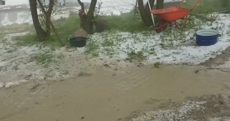 Qubanın dağlıq kəndlərinə dolu düşdü: Təsərrüfatlara ziyan dəydi - FOTO-VİDEO