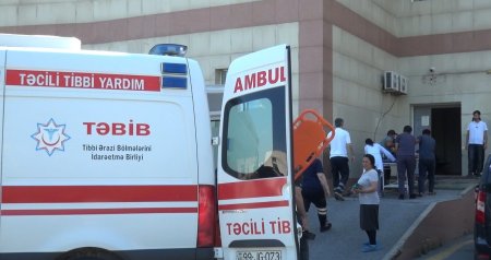 Şəkidə itin 5 nəfəri dişləməsinə İcra Hakimiyyətinin REAKSİYASI - FOTO