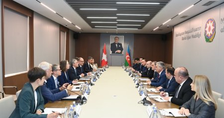 Ceyhun Bayramov ATƏT sədri ilə Ermənistanla sülh prosesini müzakirə etdi &ndash; FOTO