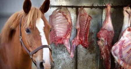 Kilosu 100 manata olan &ldquo;At əti&rdquo; &mdash; Bazara nə vaxt açıq şəkildə çıxarıla bilər?
