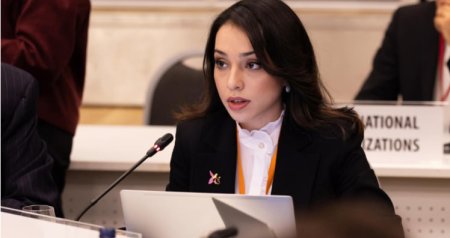Nəzrin Əliyeva: &ldquo;İkin düşmüş şəxslərin taleyinin naməlum qalması ağır humanitar faciədir&rdquo; &ndash; VİDEO