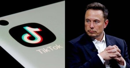 &ldquo;TikTok&rdquo;dan İlon Maskla bağlı QADAĞA